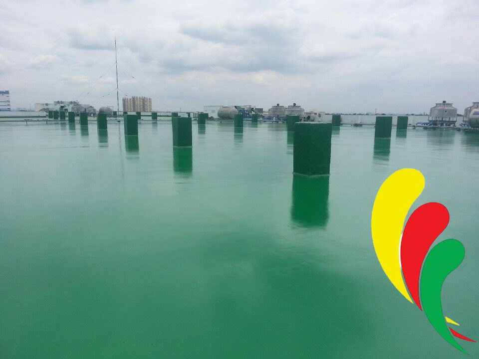 du-an-cong-ty-sung-shin-kcn-my-phuoc-2-dien-tich-5500m2