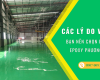 Các Lý Do Vì Sao Bạn Nên Chọn Dịch Vụ Của Epoxy Phương Nam